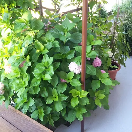 With A Parking Space Seget Donji, - 11524 Appartement Trogir