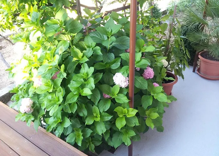 With A Parking Space Seget Donji, - 11524 Appartement Trogir